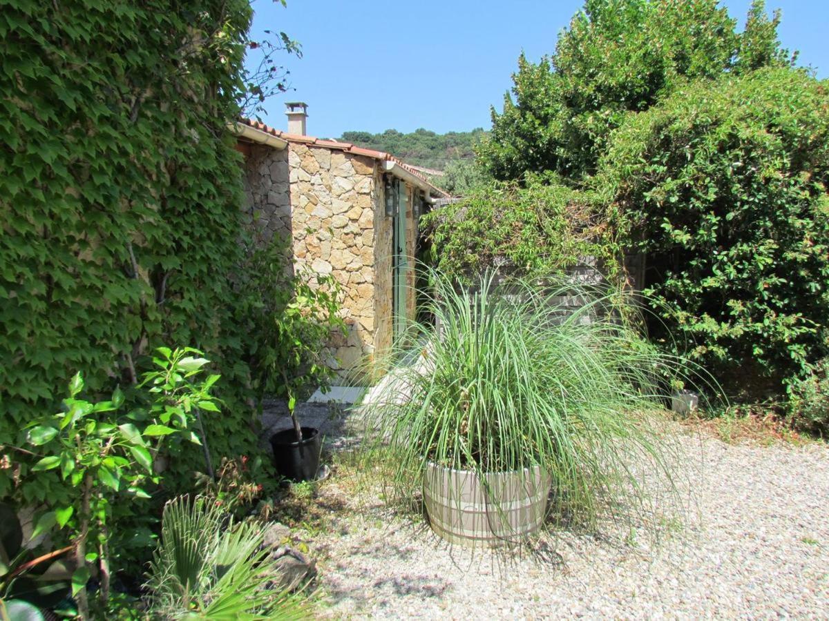 Chambre D'Hotes Des Oliviers La Roque-sur-Cèze Exterior foto